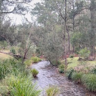 Beautiful ecological restoration using organic landcare - a private property 3 hrs from Byron Bay