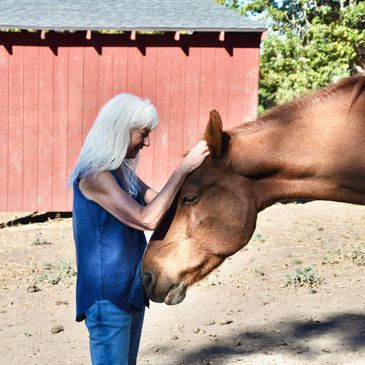 Star relaxes with Jo Anna's patience and 
loving touch.