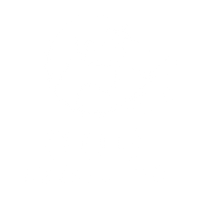 Dog Brooming