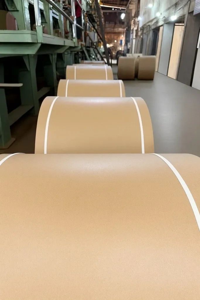 Large rolls of brown paper lined up in a factory setting.