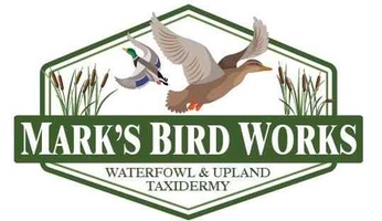Mark's Bird Works Waterfowl and Upland Taxidermy