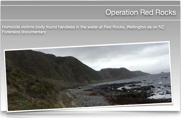 Homicide
Computer analysis
High Court
High profile
NZ Forensics