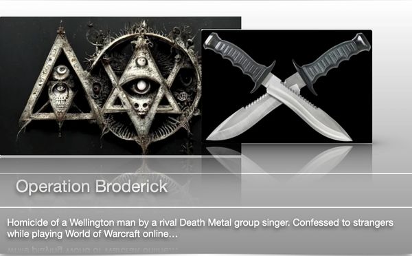 Homicide
Online chat evidence
Computer analysis
High profile
Internet history
Investigator support