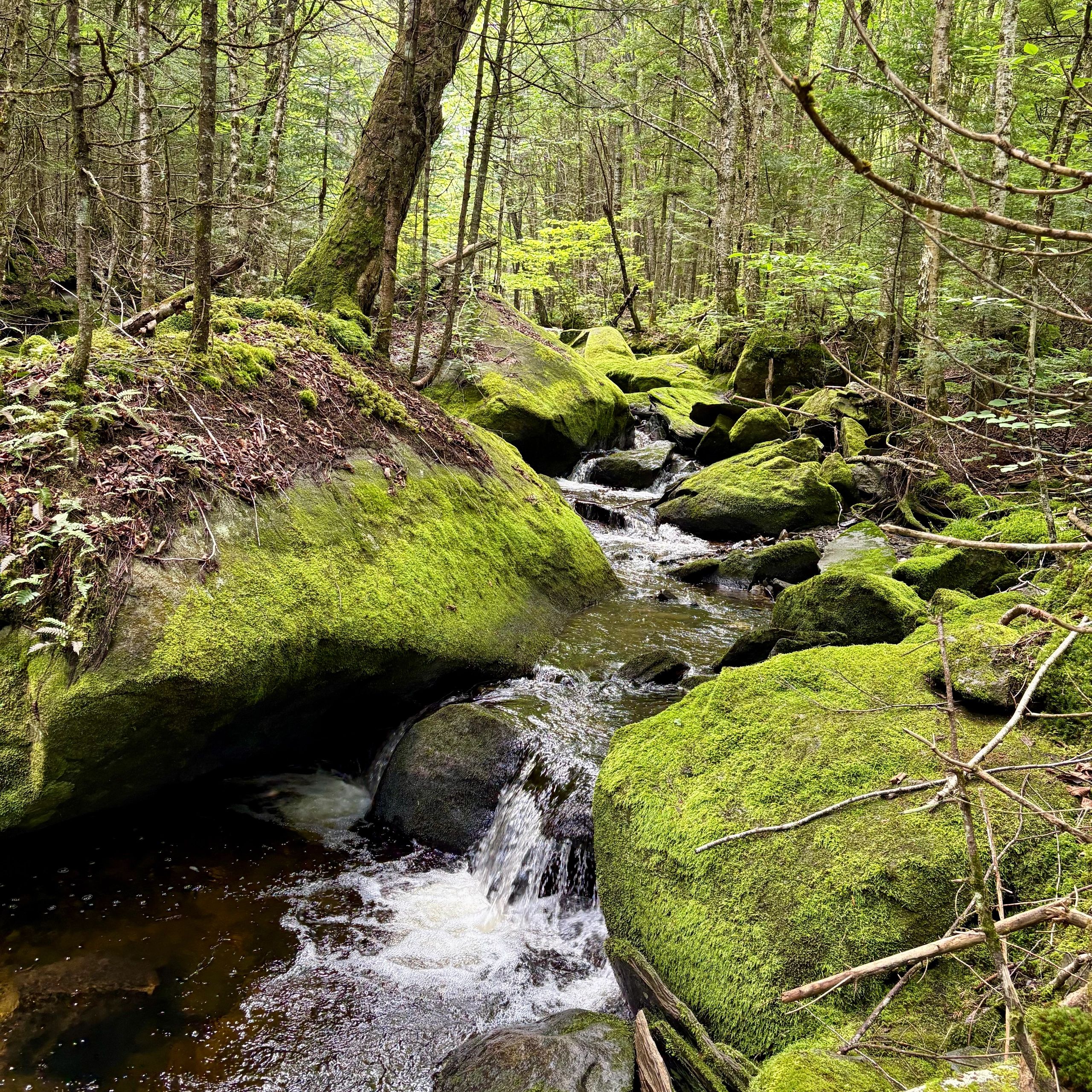 Home | Three Rivers Stocking Association
