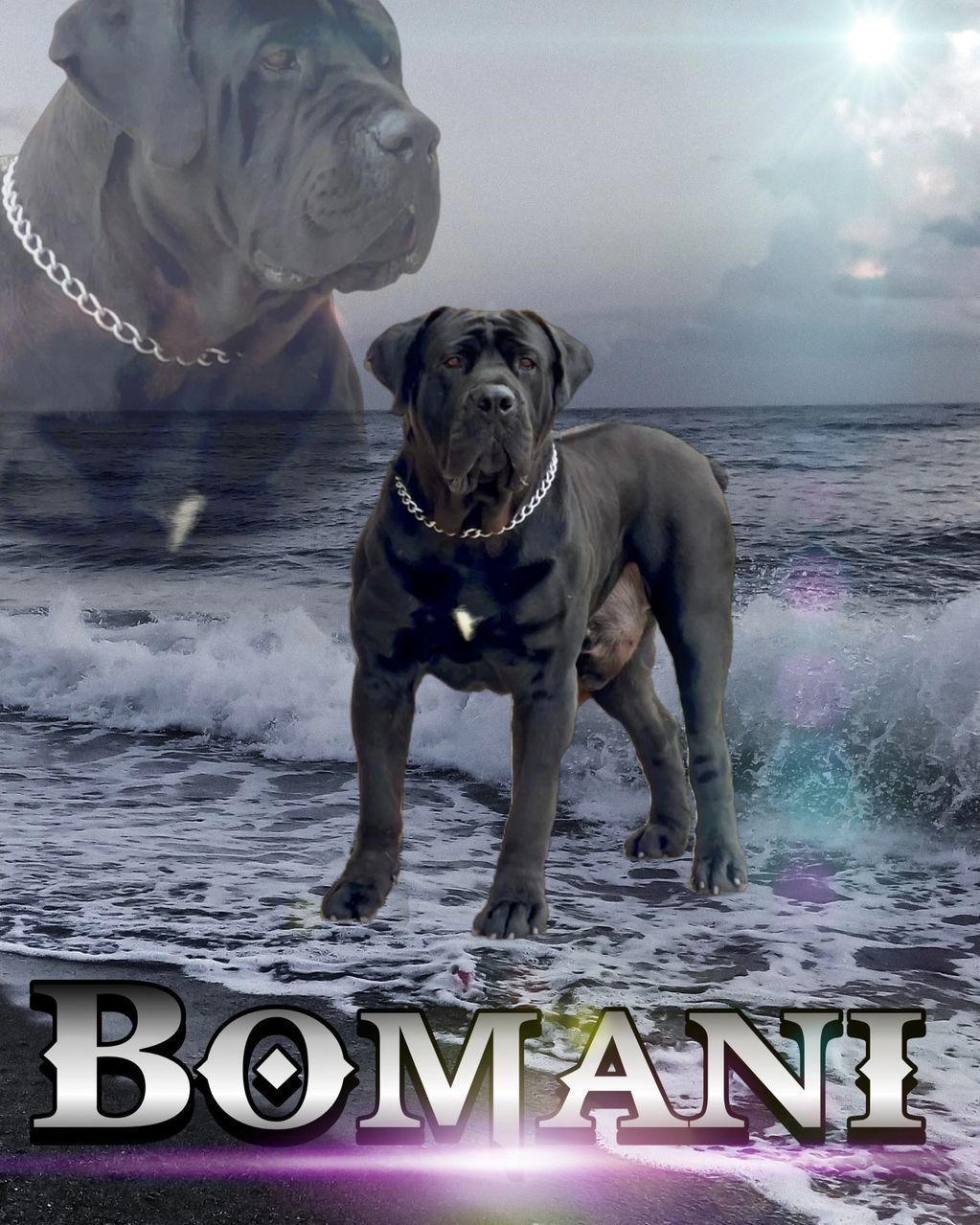 bomani