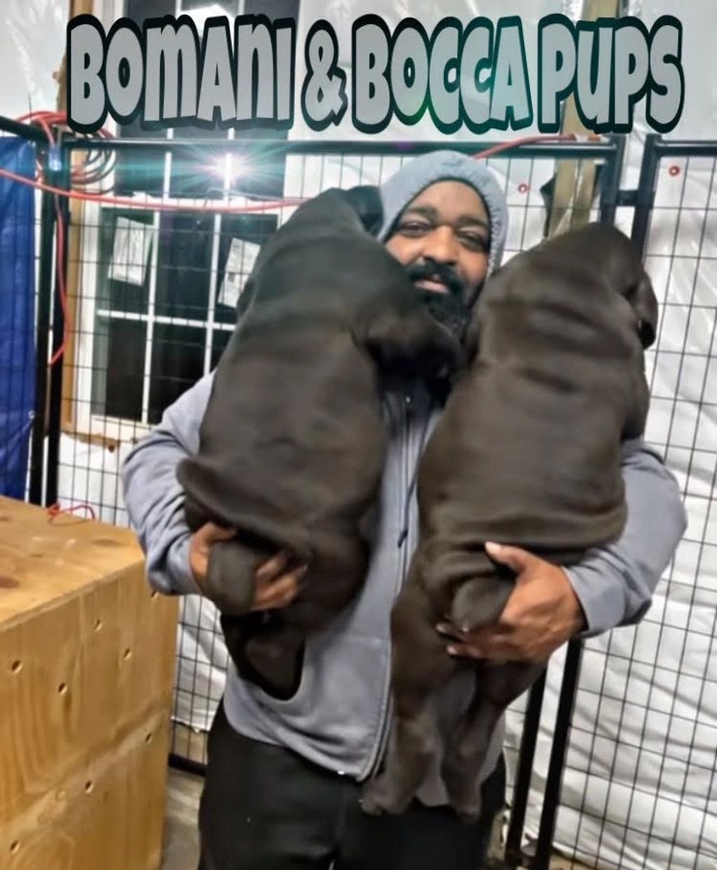 big pups