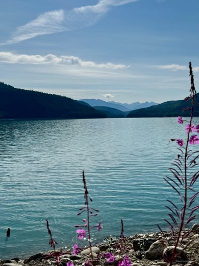 Peaceful lake with mountains and purple flowers.