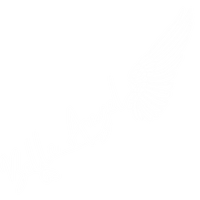 Belle Angel Foundation