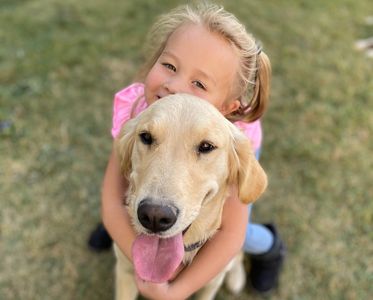 Golden Retriever Getting Hugs