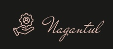 Nagantul EMS
