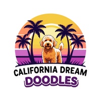 California Dream Doodles