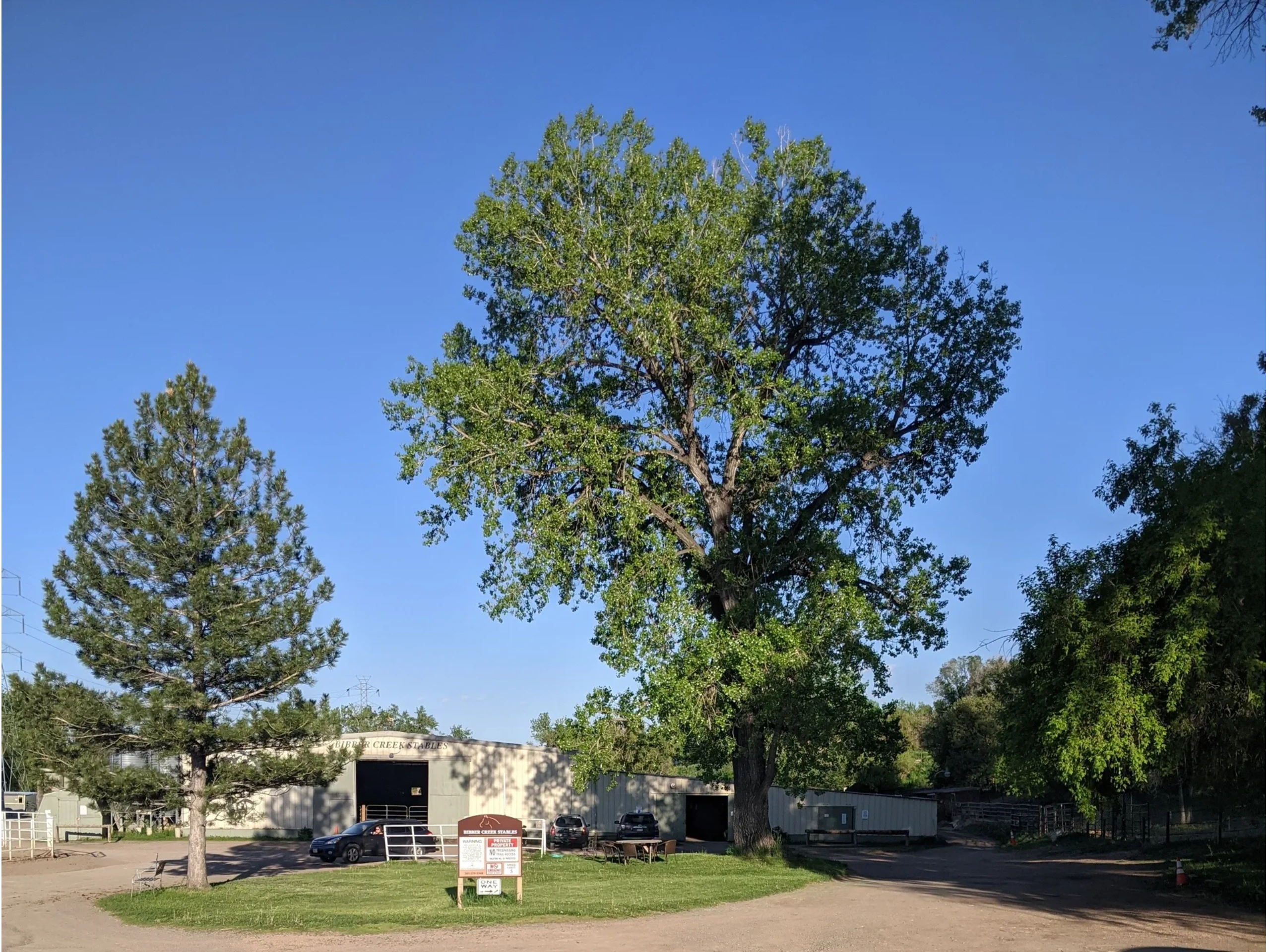 Bibber Creek Stables
