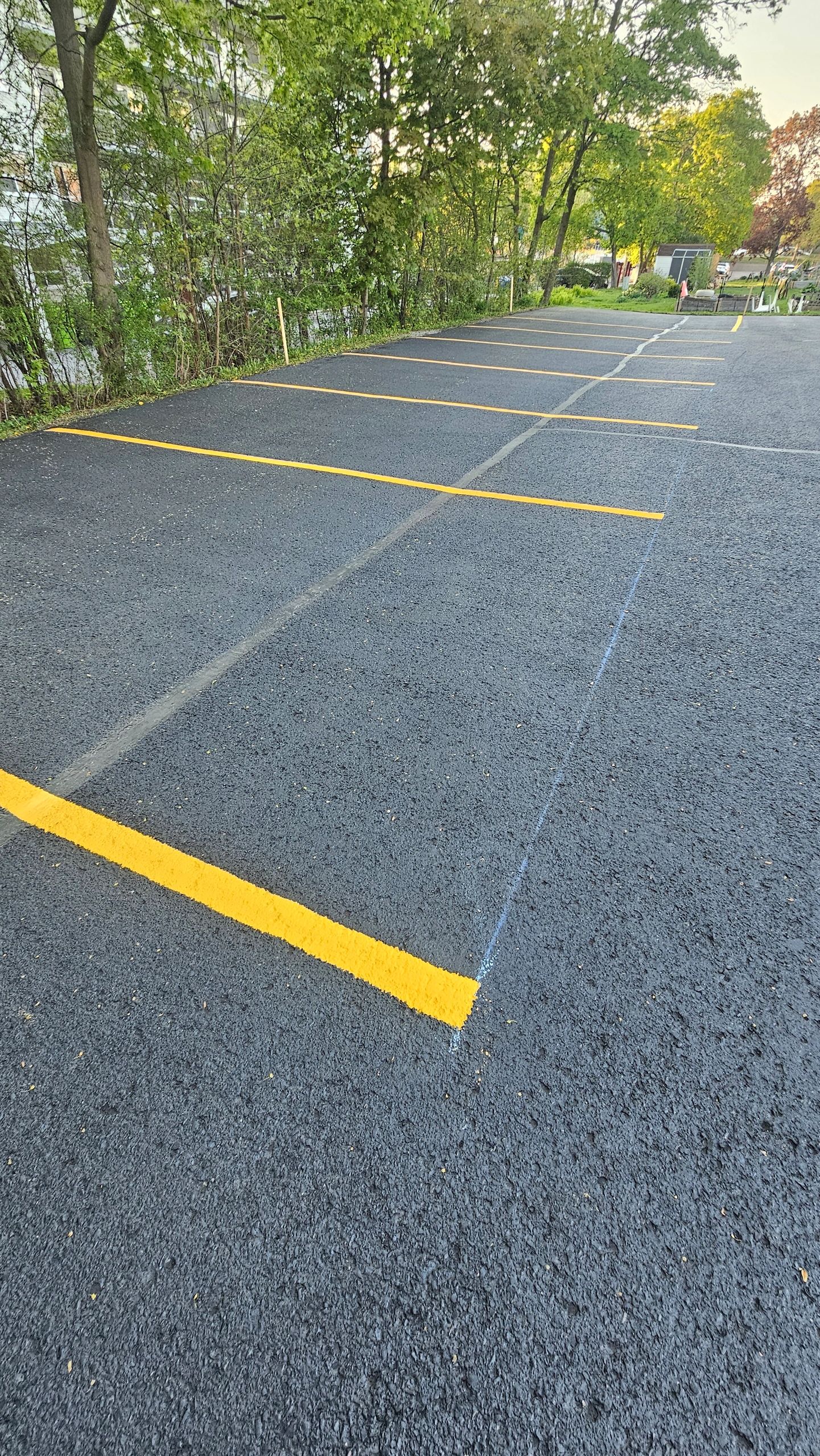 Empty parking spaces with fresh yellow lines in an outdoor lot surrounded by trees.