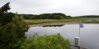 Herring River Estuary in the Cape Cod National Seashore, Jun 2019. Credit: Alexander Kurnizki