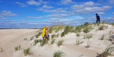 Field data collection, Nov 2019 at Cape Lookout National Seashore, NC, with white square (quadrat)