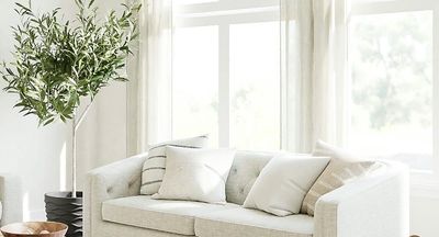 Bright living room with a modern white sofa and green plant.