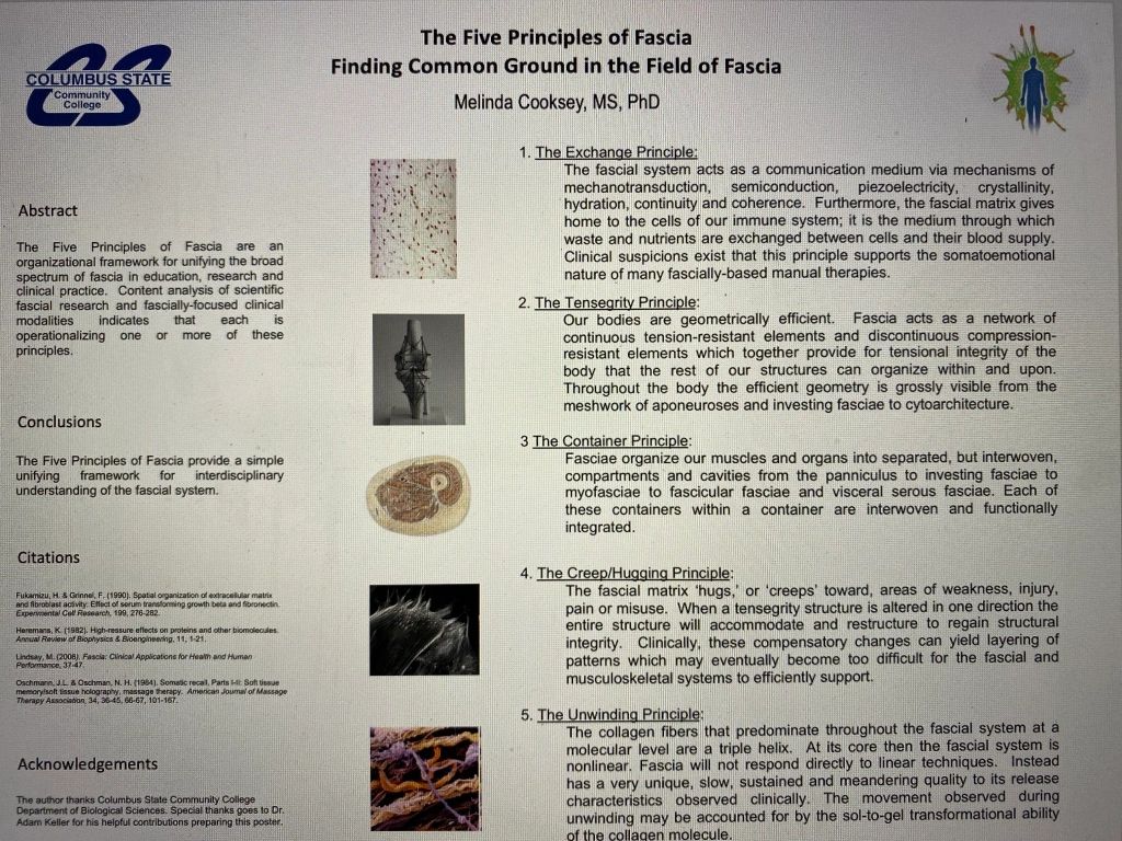 Fascia - The 'Newest' System of the Body | Integrate Columbus
