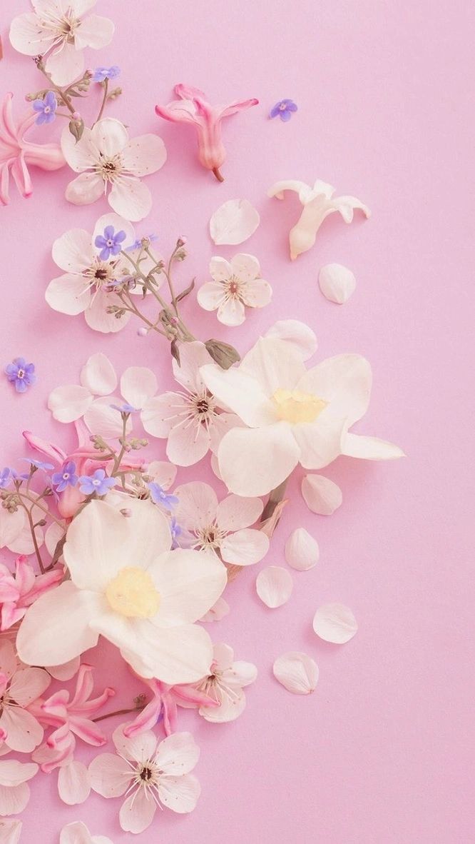 Petals Of Color Florist Zebulon, North Carolina