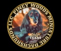 Piney Woods Miniature Dachshunds
