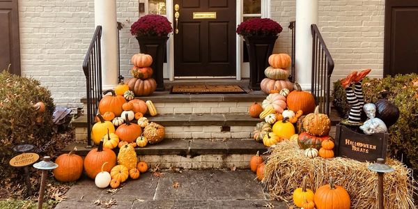 Chevy Chase MD front porch styled for fall with pumpkins, pumpkin delivery, front porch.