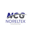 Noreltek Consulting Group