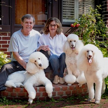 A smiling couple sitting on steps with three white poodles.