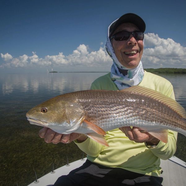 Redfish in Homosassa