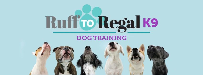 Dog Training in Port St.Lucie, FL & Treasure Coast FL - Ruff To Regal K9