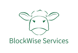 Blockwise Services Ltd