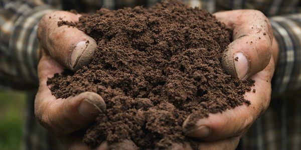 Photo of hands holding soil