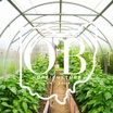 Ohio's Best Horticulture
