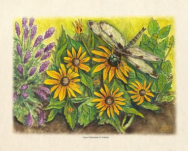 Dragonfly's Garden, watercolor & pen