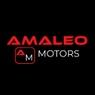 Automotora Amaleo S.P.A.