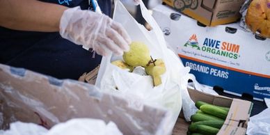 Person handling organic pears at a market.