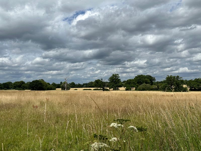 Moody skies photographed over Claygate Green Belt