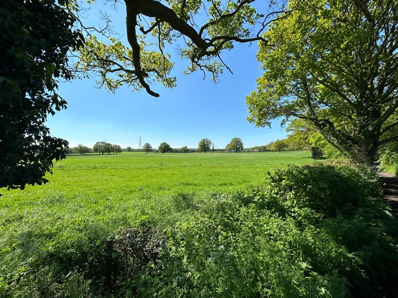 Stunning weather over loseberry farm