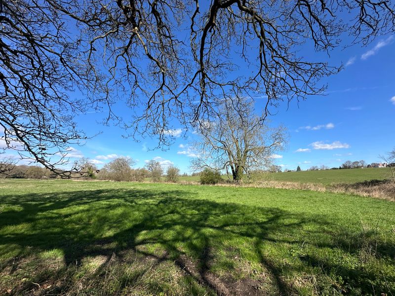 Rolling Countryside in Claygate Green Belt