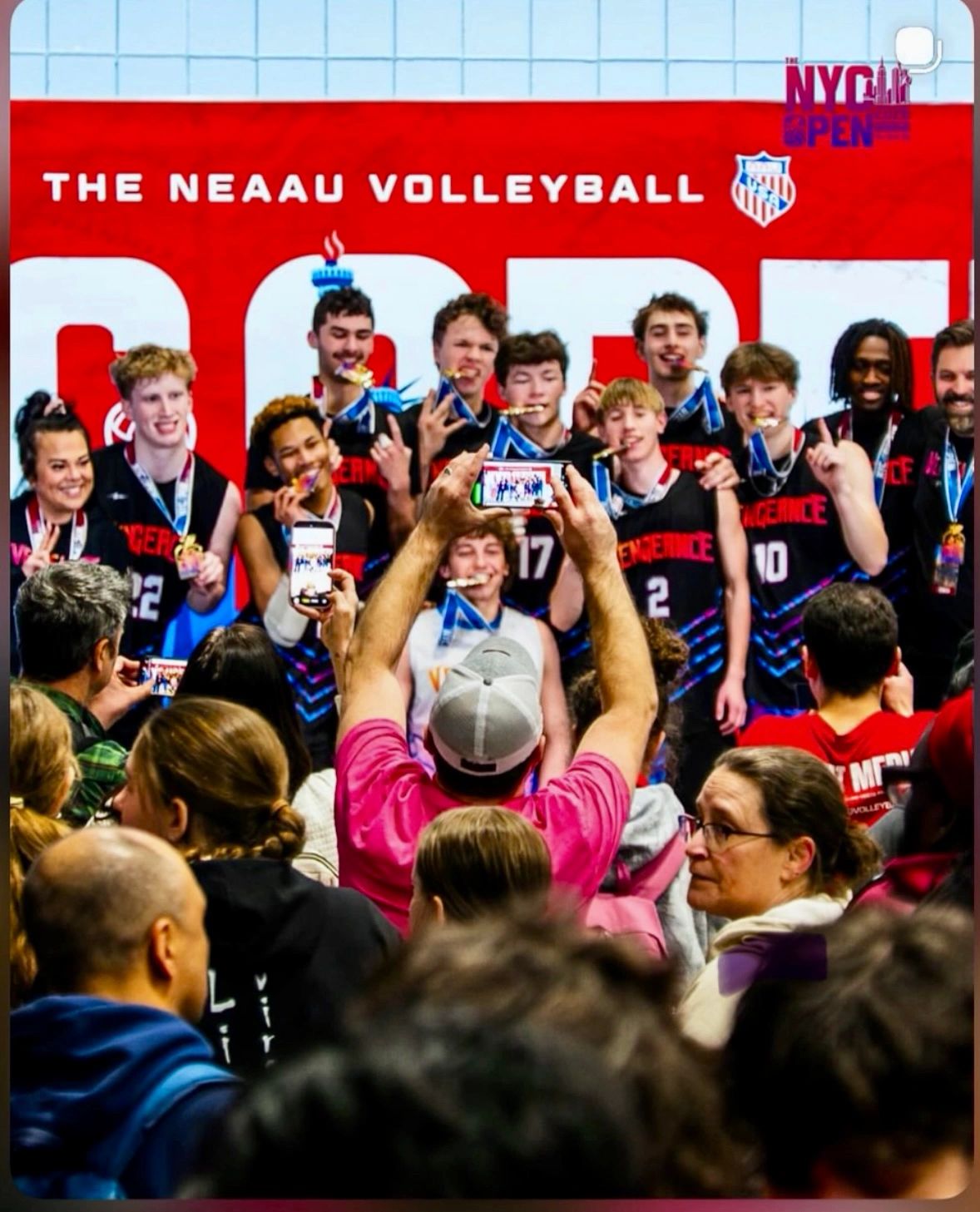 Vengeance Volleyball Club logo