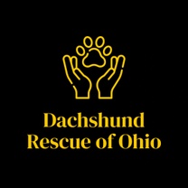 Dachshund Rescue of Ohio