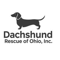 Dachshund Rescue of Ohio