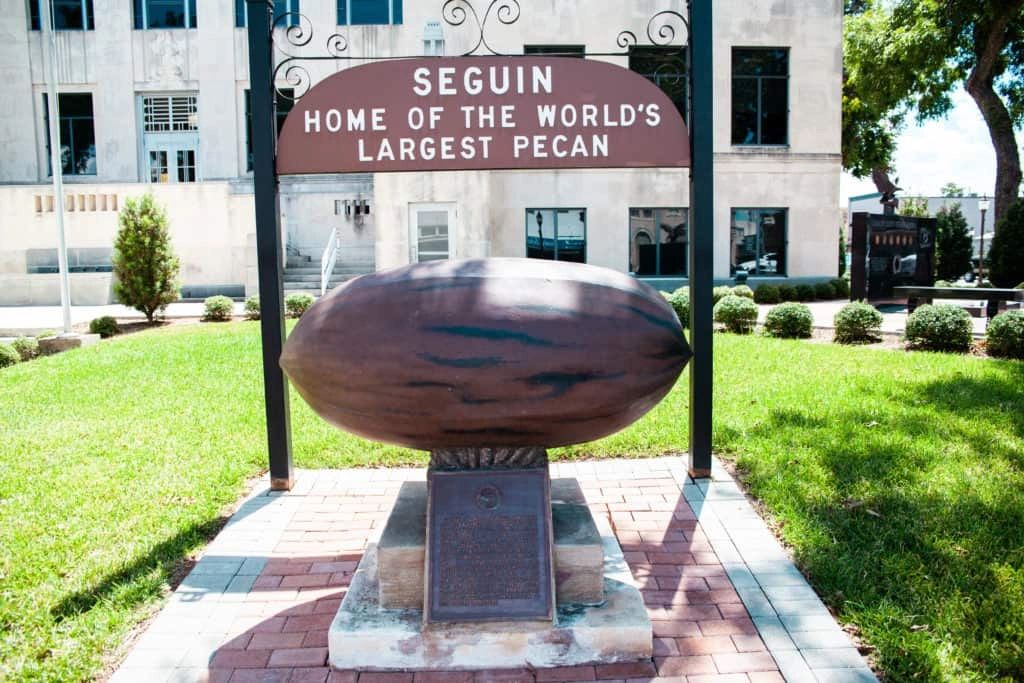 World's Largest Pecan in Seguin, Texas