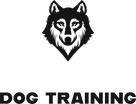 Loki KC Dog Training