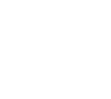 IST Project Execution