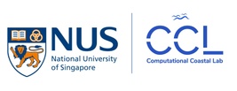 nus-ccl