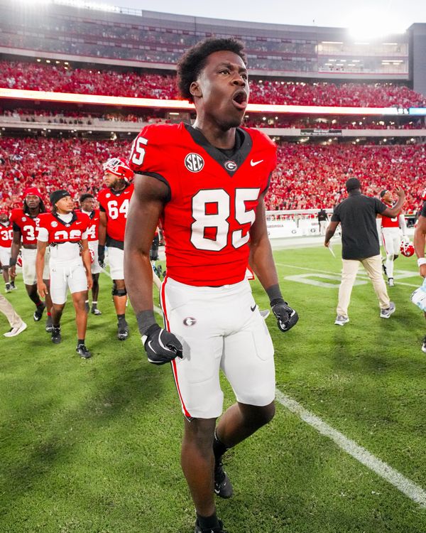 Football player in red jersey, number 85, celebrates on field with crowd in stadium.