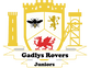 Gadlys Rovers Juniors FC