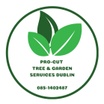 Pro-Cut Tree & Garden Services Dublin