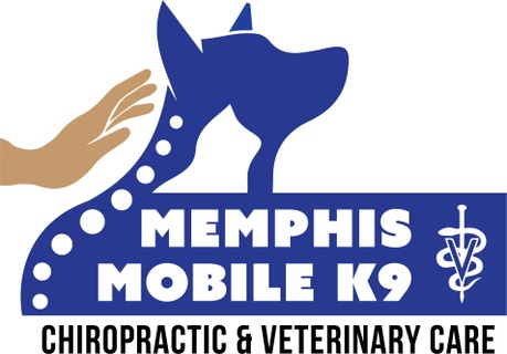 Memphis Mobile Canine Chiropractic and Veterinary Care