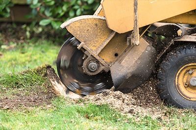 Stump Grinding 