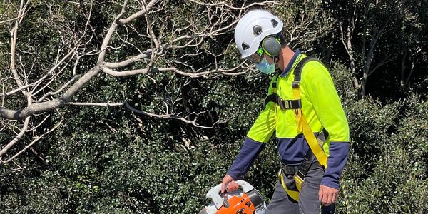 Cairns gutter cleaning and solar panel cleaning worker